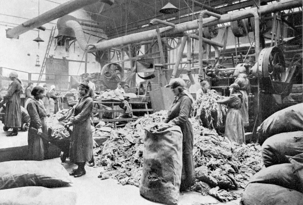 A rag-cutting room at Caldercruix Paper Mills, around 1920.