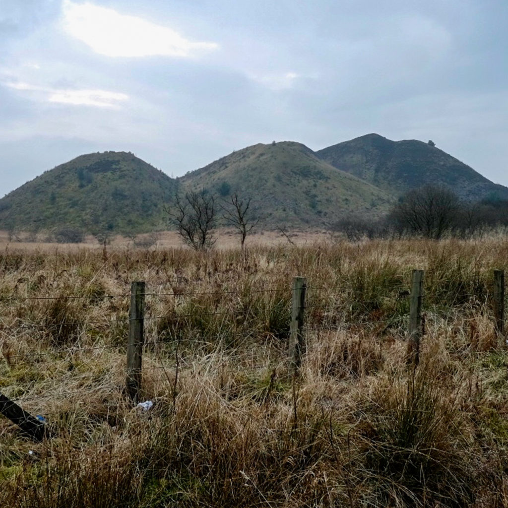 Calderhead No.3 pit bing bear Shotts, Lanarkshire.